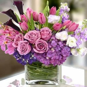 Meet your Posher, Angelita